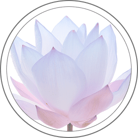 Imagen de flor - Curso de meditación Anapana Sati