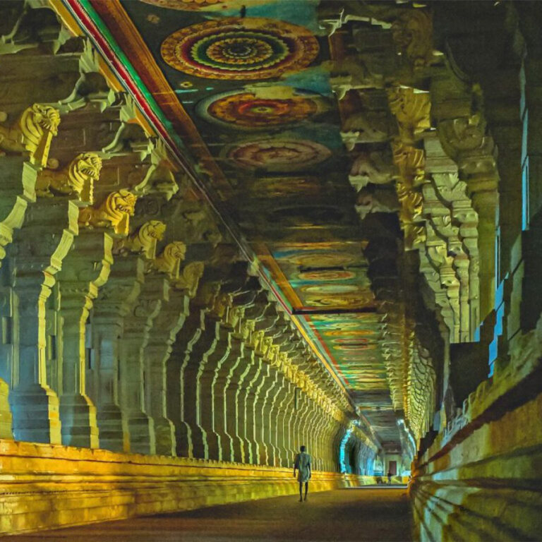 Cachemira & Ladakh, India 2025 - 1