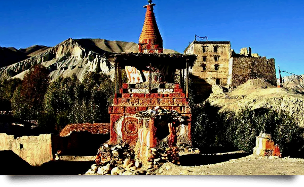 viajes-mustang-2026-portada